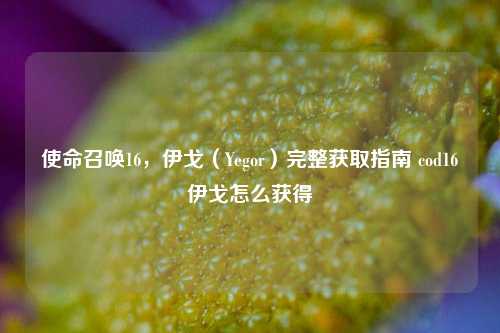 使命召唤16，伊戈（Yegor）完整获取指南 cod16伊戈怎么获得