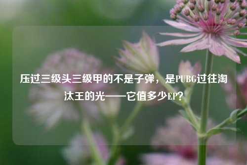 压过三级头三级甲的不是子弹，是PUBG过往淘汰王的光——它值多少EP？
