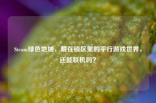Steam绿色地域,藏在锁区里的平行游戏世界,还能联机吗?