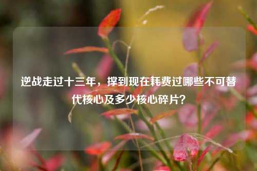 逆战走过十三年，撑到现在耗费过哪些不可替代核心及多少核心碎片？