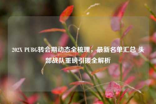 202X PUBG转会期动态全梳理，最新名单汇总 头部战队重磅引援全解析
