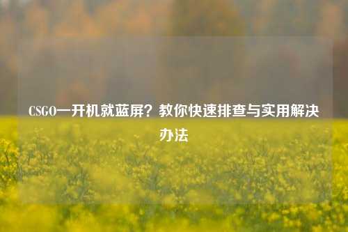 CSGO一开机就蓝屏？教你快速排查与实用解决办法