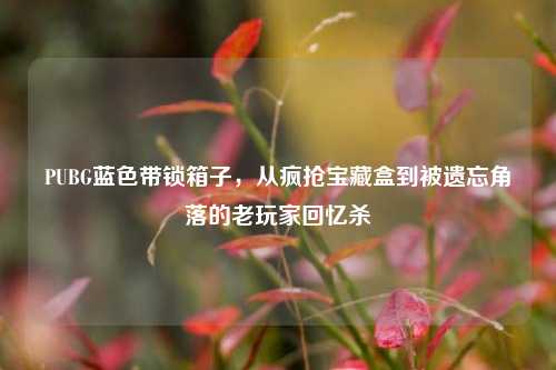 PUBG蓝色带锁箱子，从疯抢宝藏盒到被遗忘角落的老玩家回忆杀