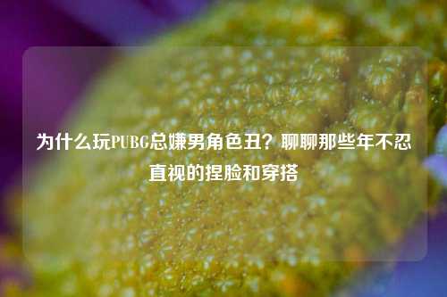 为什么玩PUBG总嫌男角色丑？聊聊那些年不忍直视的捏脸和穿搭