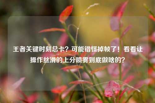 王者关键时刻总卡？可能错怪掉帧了！看看让操作丝滑的上分喷雾到底做啥的？