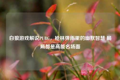 白狼游戏解说PUBG,枪林弹雨里的幽默智慧 局局都是高能名场面