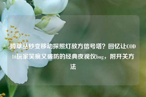 蹲草丛秒变移动探照灯敌方信号塔?回忆让COD16玩家笑疯又破防的经典夜视仪bug,附开关方法