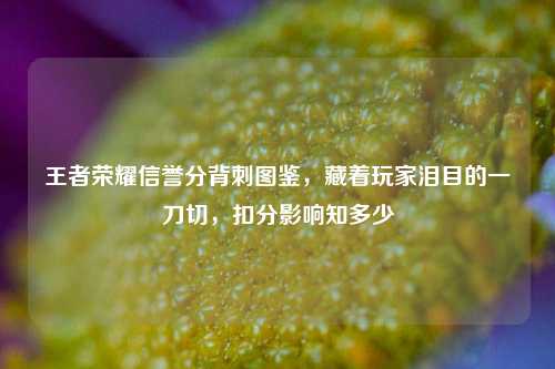 王者荣耀信誉分背刺图鉴,藏着玩家泪目的一刀切,扣分影响知多少