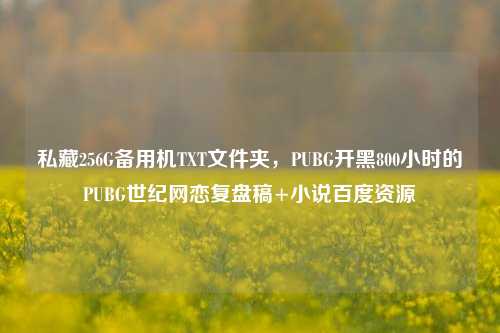 私藏256G备用机TXT文件夹，PUBG开黑800小时的PUBG世纪网恋复盘稿+小说百度资源