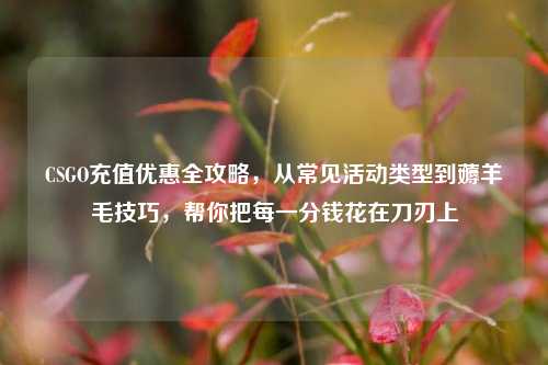 CSGO充值优惠全攻略,从常见活动类型到薅羊毛技巧,帮你把每一分钱花在刀刃上