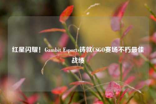 红星闪耀！Gambit Esports铸就CSGO赛场不朽最佳战绩