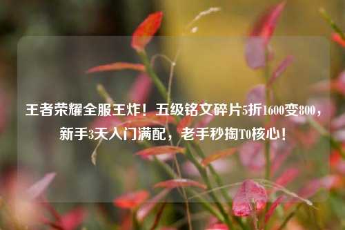 王者荣耀全服王炸!五级铭文碎片5折1600变800,新手3天入门满配,老手秒掏T0核心!
