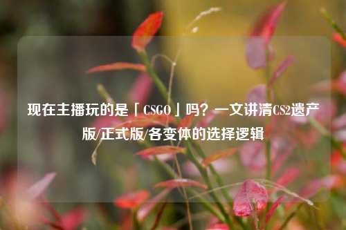 现在主播玩的是「CSGO」吗?一文讲清CS2遗产版/正式版/各变体的选择逻辑
