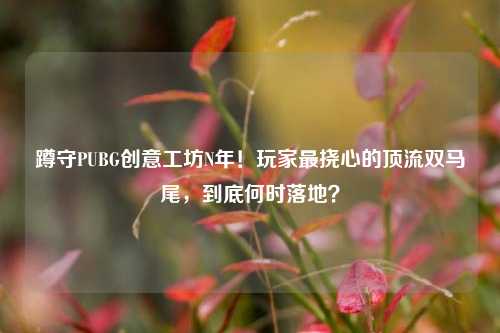 蹲守PUBG创意工坊N年!玩家最挠心的顶流双马尾,到底何时落地?