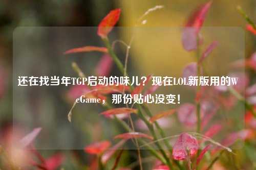 还在找当年TGP启动的味儿？现在LOL新版用的WeGame，那份贴心没变！