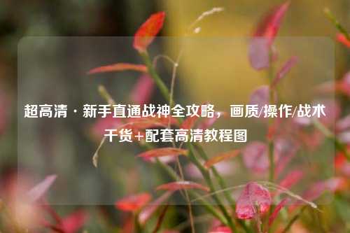 超高清·新手直通战神全攻略,画质/操作/战术干货+配套高清教程图