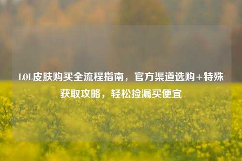 LOL皮肤购买全流程指南,官方渠道选购+特殊获取攻略,轻松捡漏买便宜