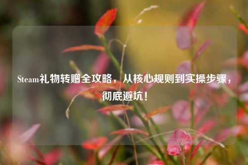 Steam礼物转赠全攻略,从核心规则到实操步骤,彻底避坑!