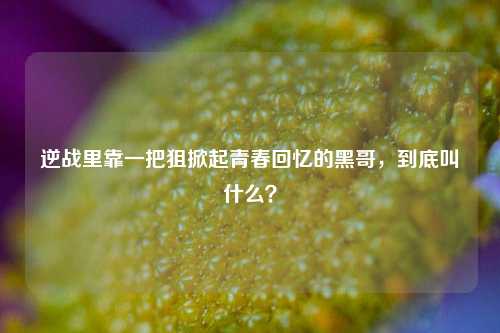 逆战里靠一把狙掀起青春回忆的黑哥,到底叫什么?