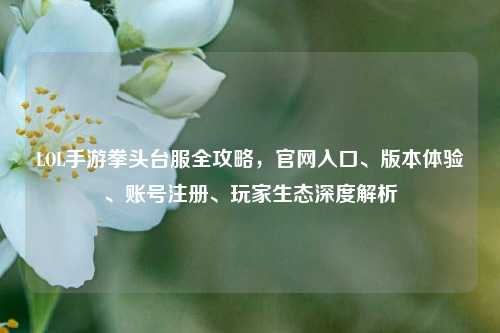 LOL手游拳头台服全攻略,官网入口、版本体验、账号注册、玩家生态深度解析