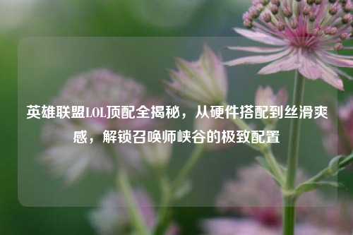 英雄联盟LOL顶配全揭秘,从硬件搭配到丝滑爽感,解锁召唤师峡谷的极致配置