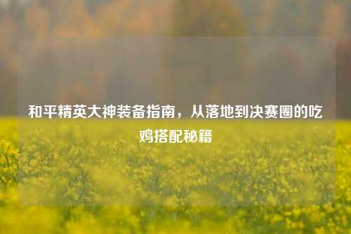 和平精英大神装备指南,从落地到决赛圈的吃鸡搭配秘籍