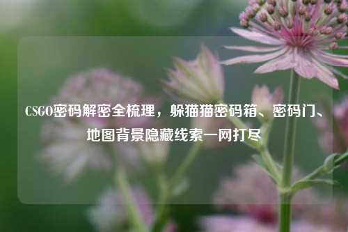 CSGO密码解密全梳理,躲猫猫密码箱、密码门、地图背景隐藏线索一网打尽
