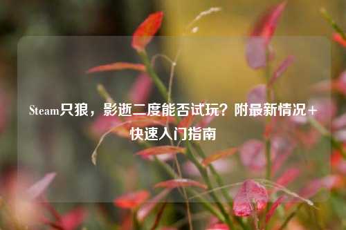 Steam只狼,影逝二度能否试玩?附最新情况+快速入门指南