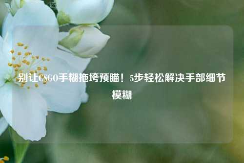 别让CSGO手糊拖垮预瞄!5步轻松解决手部细节模糊