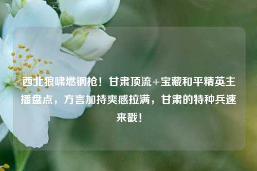 西北狼啸燃钢枪!甘肃顶流+宝藏和平精英主播盘点,方言加持爽感拉满,甘肃的特种兵速来戳!