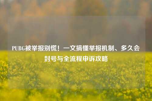 PUBG被举报别慌!一文搞懂举报机制、多久会封号与全流程申诉攻略