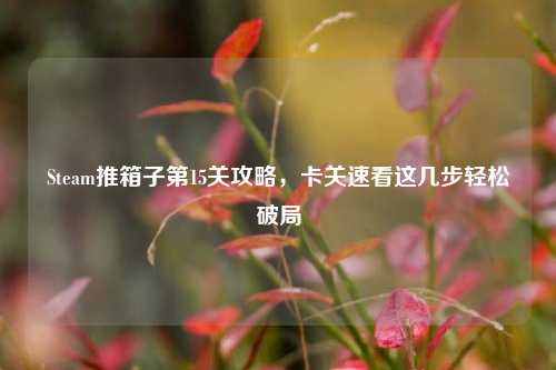 Steam推箱子第15关攻略,卡关速看这几步轻松破局