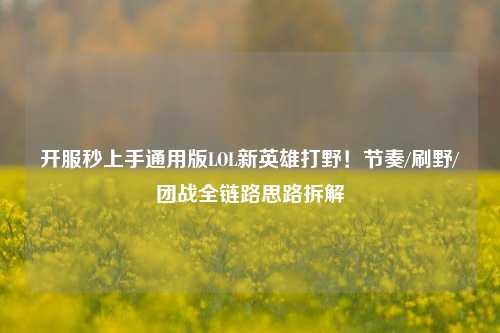 开服秒上手通用版LOL新英雄打野!节奏/刷野/团战全链路思路拆解