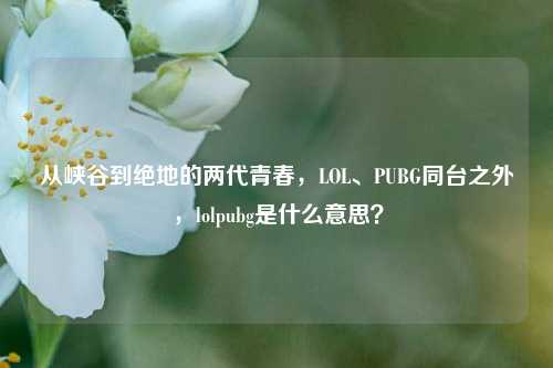 从峡谷到绝地的两代青春,LOL、PUBG同台之外,lolpubg是什么意思?