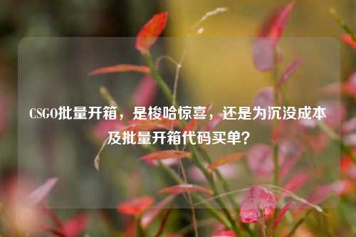 CSGO批量开箱,是梭哈惊喜,还是为沉没成本及批量开箱代码买单?