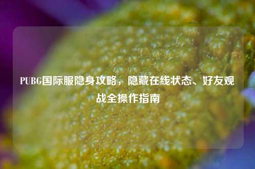 PUBG国际服隐身攻略,隐藏在线状态、好友观战全操作指南