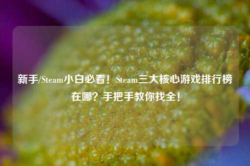 新手/Steam小白必看!Steam三大核心游戏排行榜在哪?手把手教你找全!