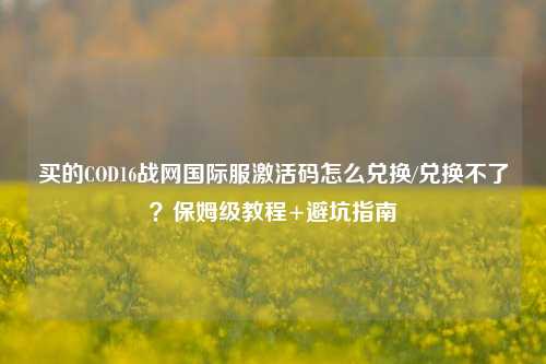 买的COD16战网国际服激活码怎么兑换/兑换不了?保姆级教程+避坑指南