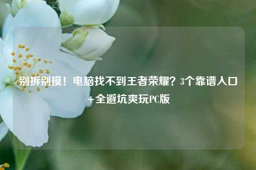 别拆别摸!电脑找不到王者荣耀?3个靠谱入口+全避坑爽玩PC版