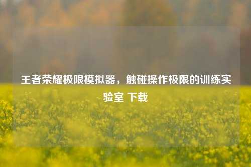 王者荣耀极限模拟器,触碰操作极限的训练实验室 下载
