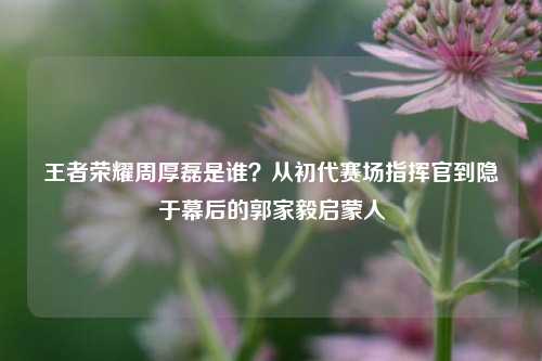 王者荣耀周厚磊是谁?从初代赛场指挥官到隐于幕后的郭家毅启蒙人