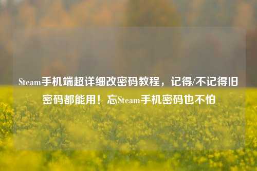 Steam手机端超详细改密码教程,记得/不记得旧密码都能用!忘Steam手机密码也不怕