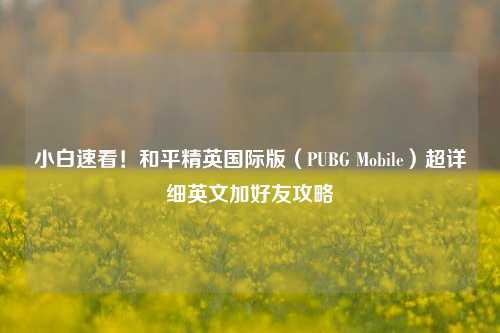 小白速看!和平精英国际版(PUBG Mobile)超详细英文加好友攻略
