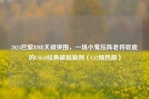 2024巴黎RMR天禄突围,一场小鬼压阵老将收底的CSGO经典破局案例(CS2预热前)