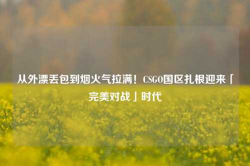 从外漂丢包到烟火气拉满!CSGO国区扎根迎来「完美对战」时代