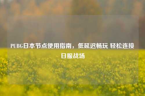 PUBG日本节点使用指南,低延迟畅玩 轻松连接日服战场
