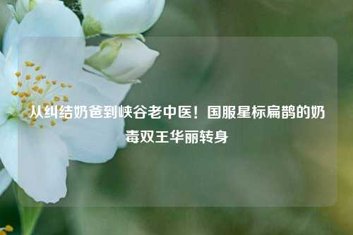 从纠结奶爸到峡谷老中医!国服星标扁鹊的奶毒双王华丽转身