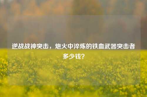 逆战战神突击,炮火中淬炼的铁血武器突击者多少钱?