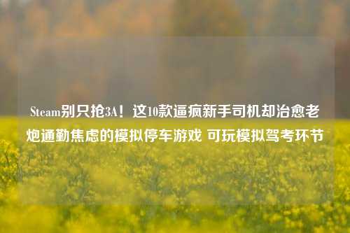 Steam别只抢3A!这10款逼疯新手司机却治愈老炮通勤焦虑的模拟停车游戏 可玩模拟驾考环节