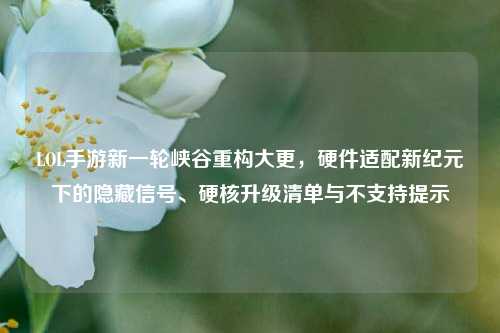 LOL手游新一轮峡谷重构大更,硬件适配新纪元下的隐藏信号、硬核升级清单与不支持提示